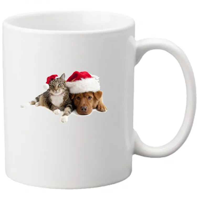 Cane e Gatto a Natale