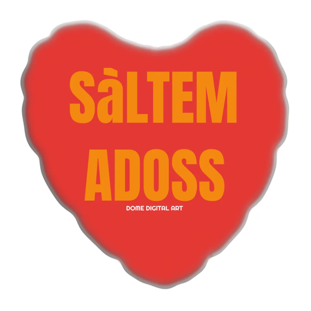 Cuscino Dialetto Bresciano San Valentino 13