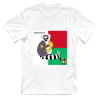 Lemur Catta: Animals, National Flags, and Foods   