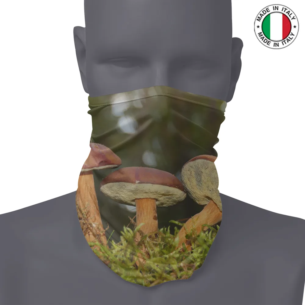 SCALDACOLLO - FOTO FUNGHI 1