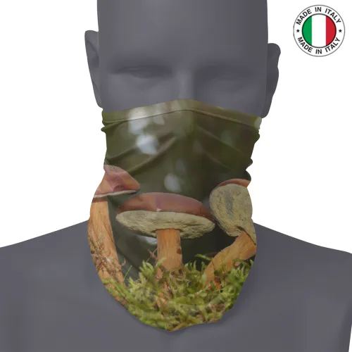 SCALDACOLLO - FOTO FUNGHI 1