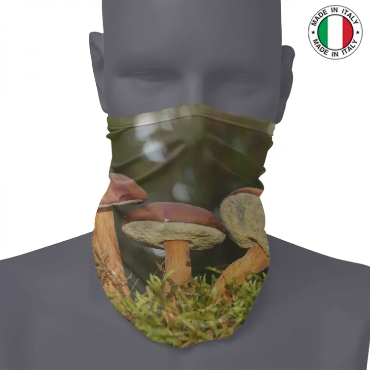 SCALDACOLLO - FOTO FUNGHI 1