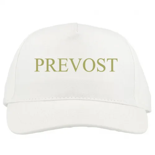 Baseball Caps