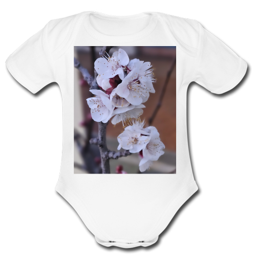 Body Bambino