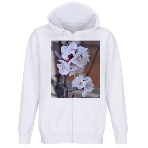 Felpa Premium Cappuccio Zip