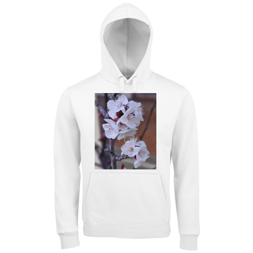 Hoodie Premium Men