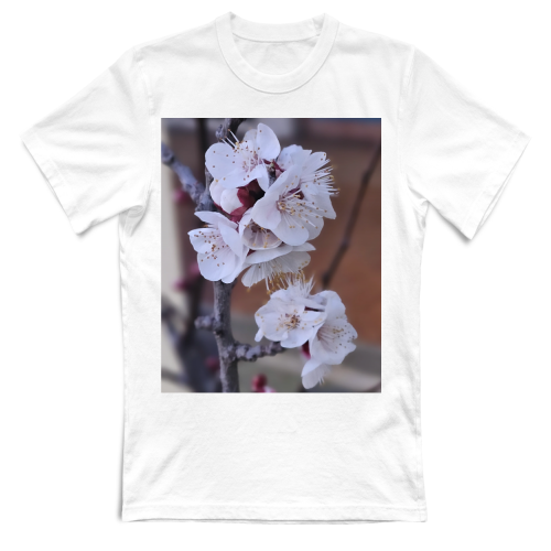T-Shirt Bambino