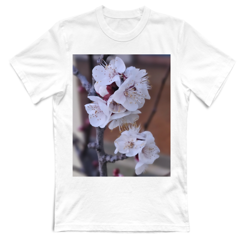 T-Shirt Unisex