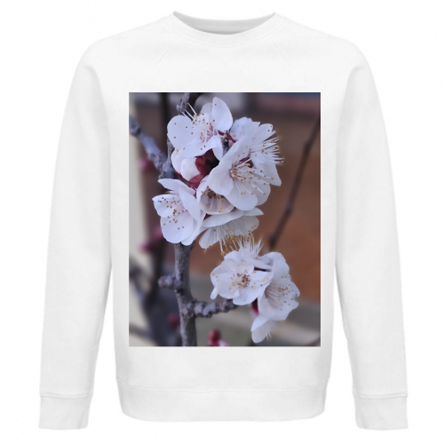 Felpa Unisex Organica