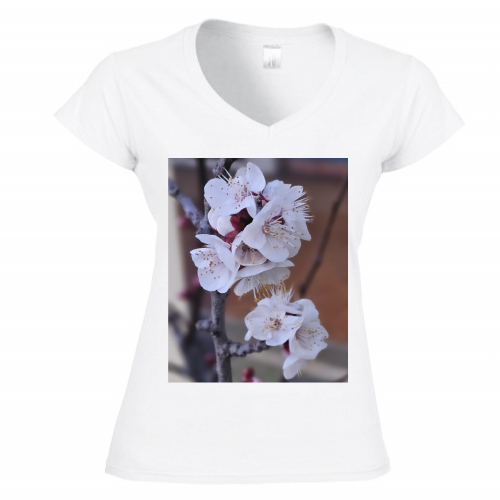 T-Shirt Donna Scollo V