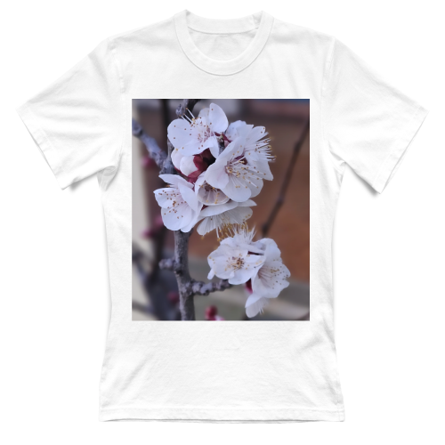 T-Shirt Donna