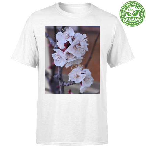 T-Shirt Bambino Organic