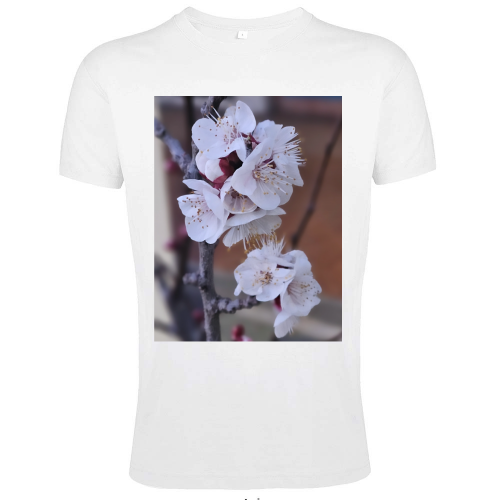 T-Shirt Men Fit