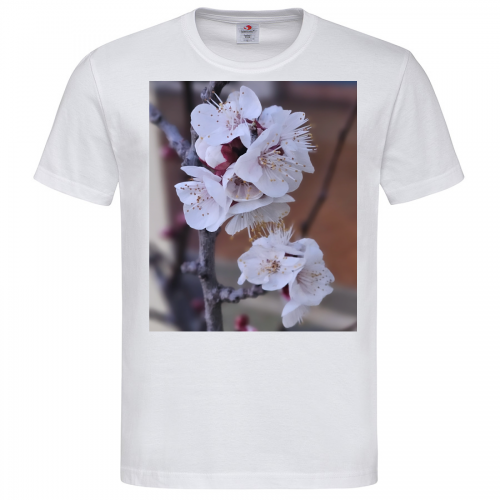 T-Shirt Men Premium 