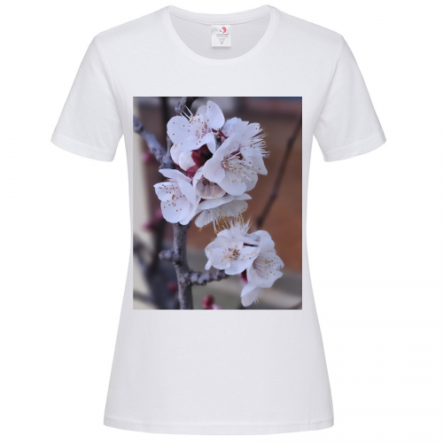 T-Shirt Women Premium 