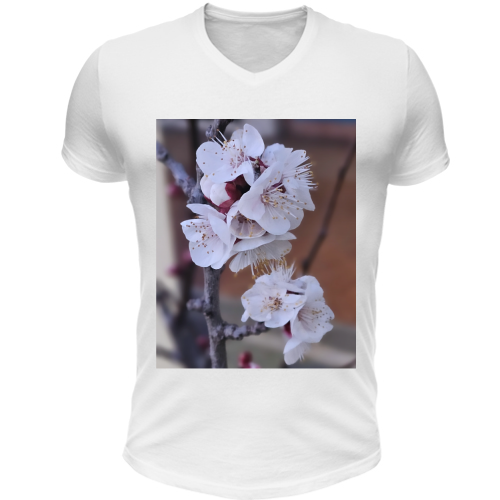 T-Shirt Unisex Scollo V