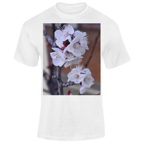 T-Shirt Unisex Dry Sport