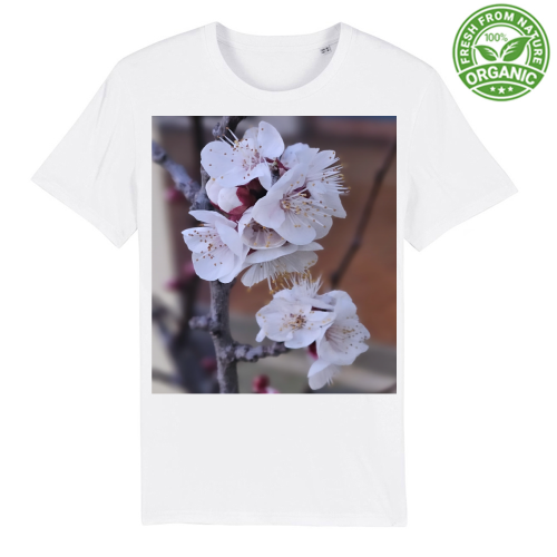 T-Shirt Unisex Premium Organic
