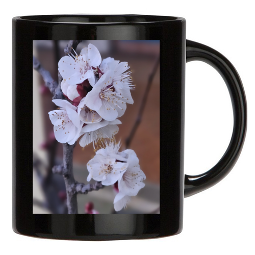 Tazza Nera