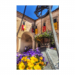 Canvas 20x30 29.90 &euro;