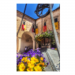 Canvas 30x45 31.25 &euro;