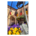 Canvas 40x60 62.50 &euro;