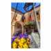 Canvas 60x90 87.50 &euro;