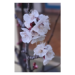 Canvas 40x60 62.50 &euro;