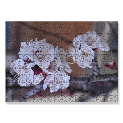 Puzzle 30x40