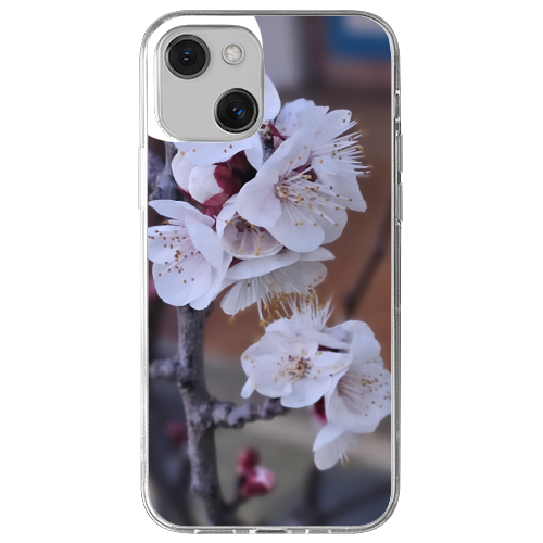 Cover Gomma iPhone 13