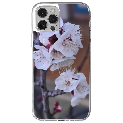 Cover Gomma iPhone 13 Pro