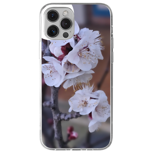 Cover Gomma iPhone 13 Pro Max