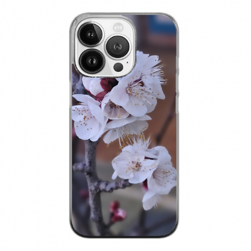Cover Gomma iPhone 15 Pro Max
