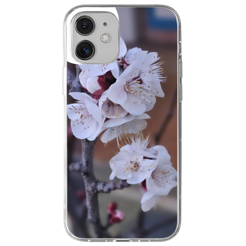 Cover Gomma iPhone 12