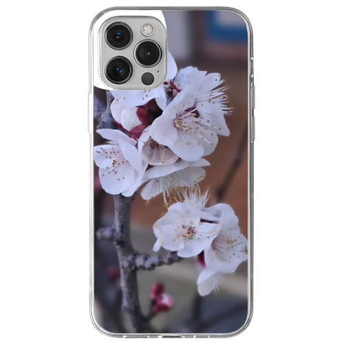 Cover Gomma iPhone 12 Pro Max