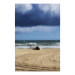 Canvas 30x45 31.25 &euro;