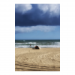 Canvas 60x90 87.50 &euro;