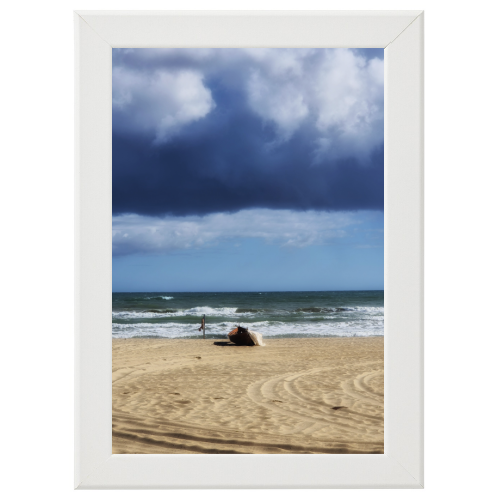 Poster con Cornice 30x45
