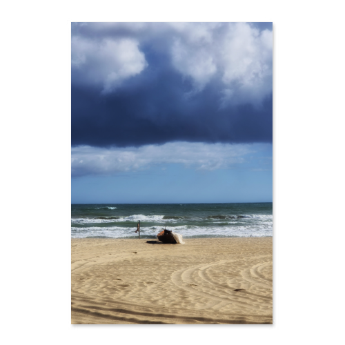 Poster 50x75