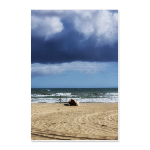 Poster 60x90