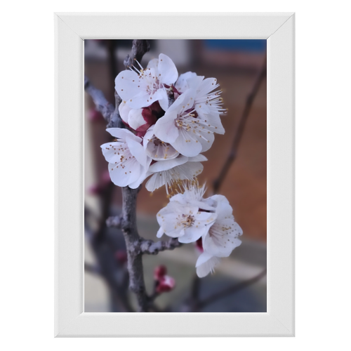 Poster con Cornice 20x30