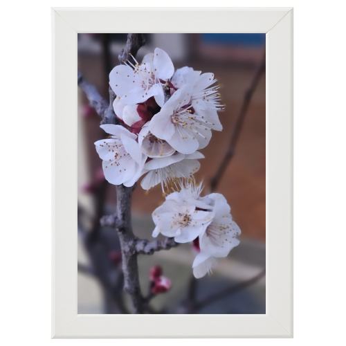 Poster con Cornice 30x45