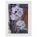 30x45 Framed Poster 74.75 &euro;
