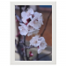 40x60 Framed Poster 124.75 &euro;