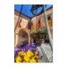 Poster 50x75 20.00 &euro;