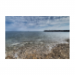 Canvas 30x20 29.90 &euro;