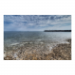 Canvas 45x30 31.25 &euro;