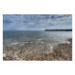 Canvas 60x40 62.50 &euro;
