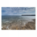 Canvas 90x60 87.50 &euro;