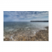 Poster 75x50 20.00 &euro;